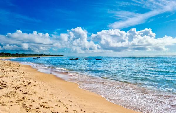 Westgate Reviews Discover the Hidden Gems and Potential Pitfalls